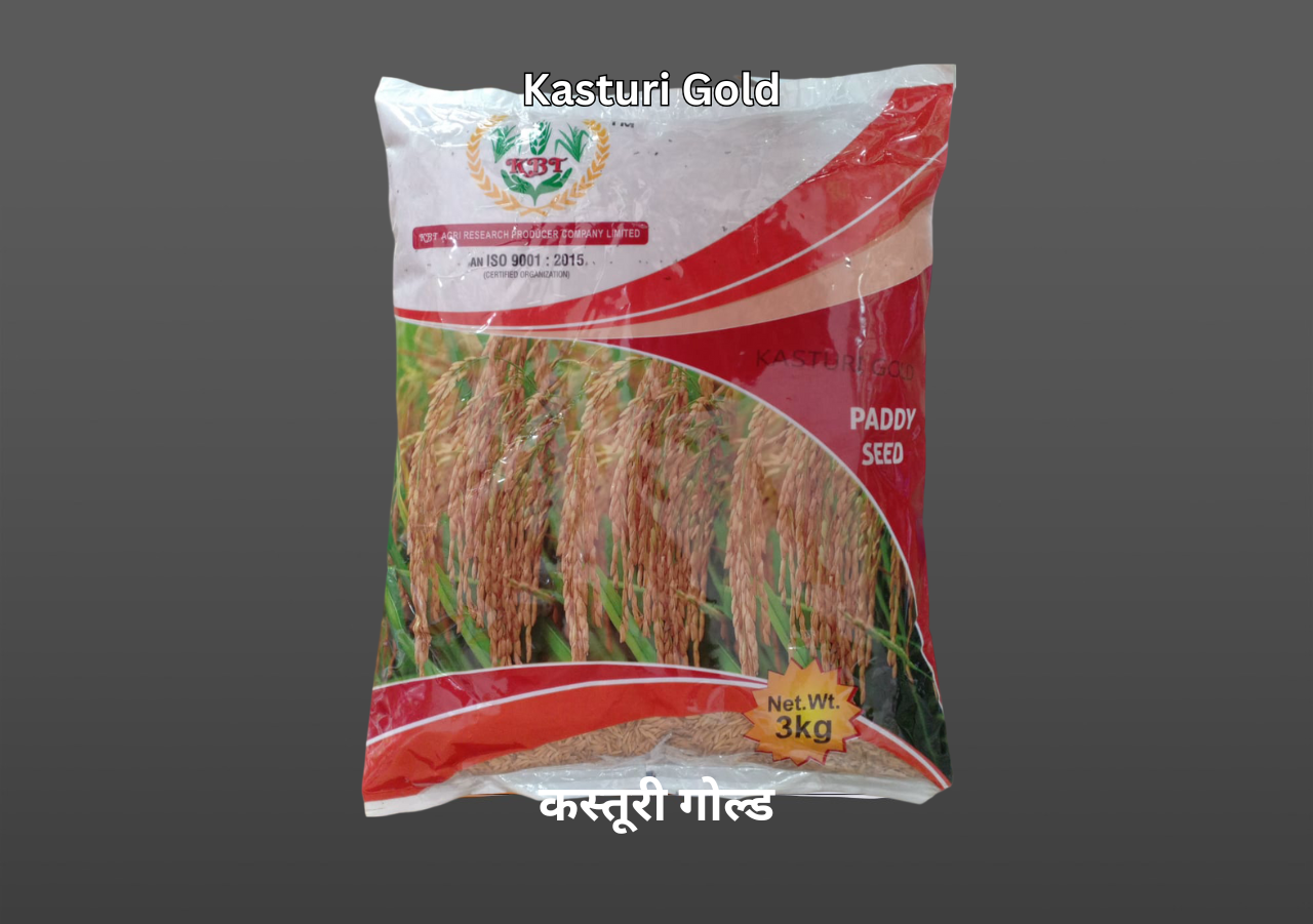 KASTURI GOLD (कस्तूरी गोल्ड) Paddy Seeds 3Kg